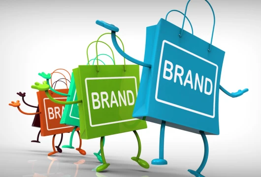 10 Sustainability-Focused D2C Brands from India