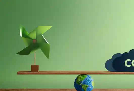 Why Carbon Insetting is a Better Approach than Offsetting