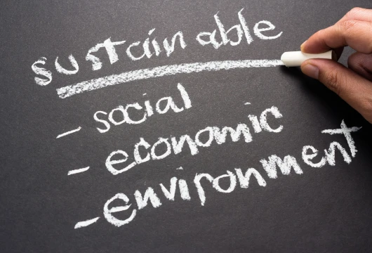 5 Common Roadblocks to Achieving Sustainability Goals and How to Overcome Them