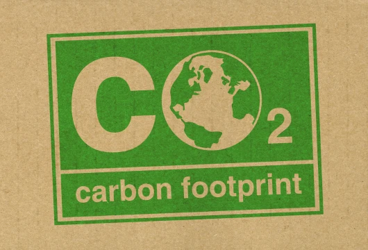 5 Ways to Shrink Your Digital Carbon Footprint 