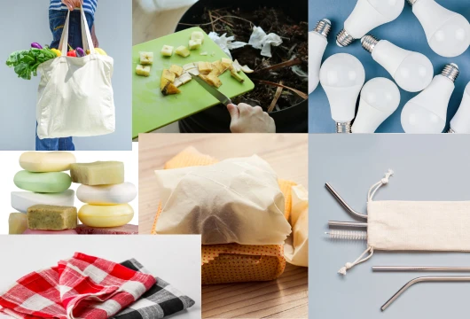 Swaps : 7 Budget-Friendly Changes for a Greener Lifestyle