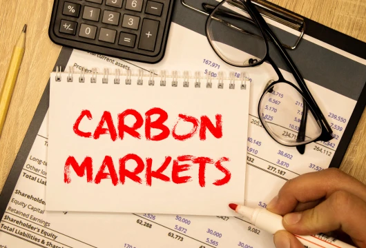 Carbon Market Set to Reach $1.2 Trillion by 2029 globally