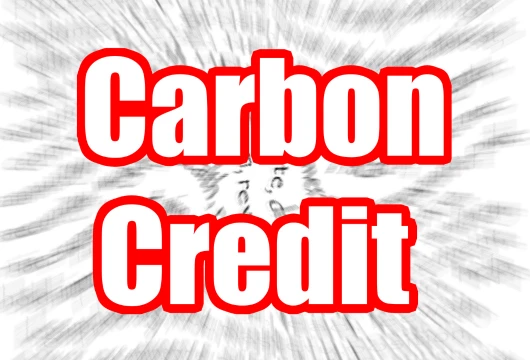 Singapore Strengthens Guidance on Carbon Credits