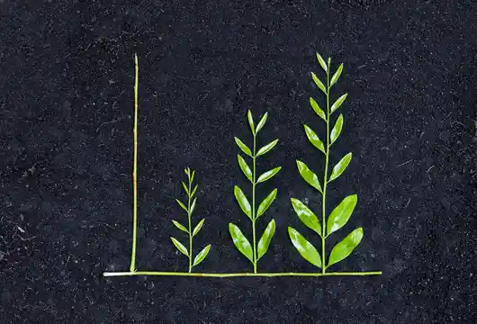 SEBI Boosts Sustainable Finance with Six New ESG Categories