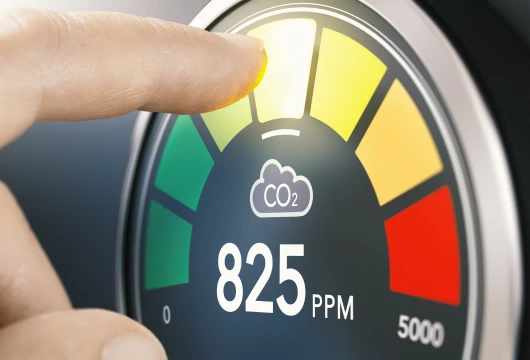 US Sets 'Guardrails' for Carbon Markets