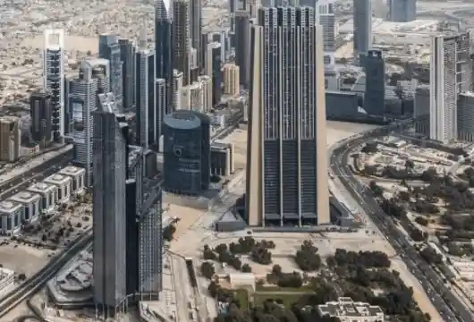 UAE's 'David & Goliath' Farms Thrive: Generates $5.53M from Carbon Credits