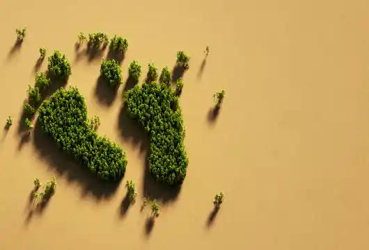Tata Steel's Green Transition : Reducing Carbon Footprint