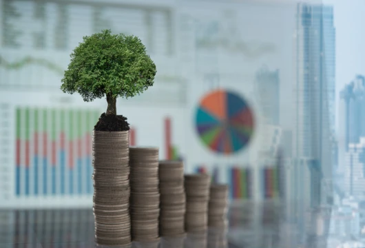MUFG and JICA Advance Sustainable Finance Goals