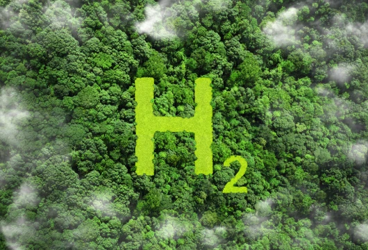 Telangana's Vision for Green Hydrogen Leadership