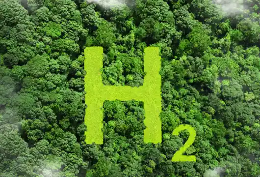 India's Green Hydrogen Revolution Is A Leap Towards Carbon Neutrality