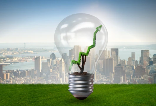 China Advances Green Economy with National Recycling Initiative