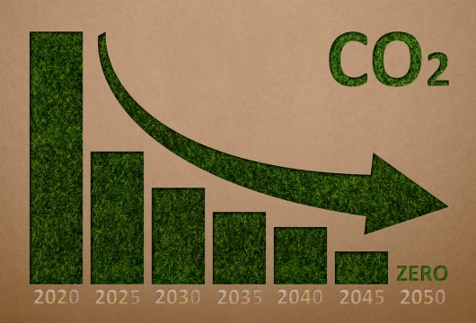 India's Atomic Energy Boosts Carbon Reduction Goals