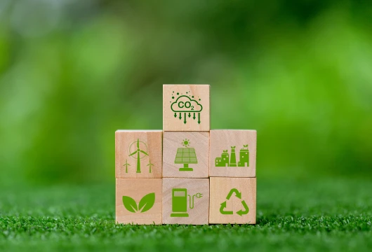 Germany's Push for Carbon Credit Transparency Strengthens Global Climate Integrity