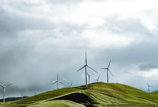Adani Green Energy Becomes First Water Positive Renewable Power Giant