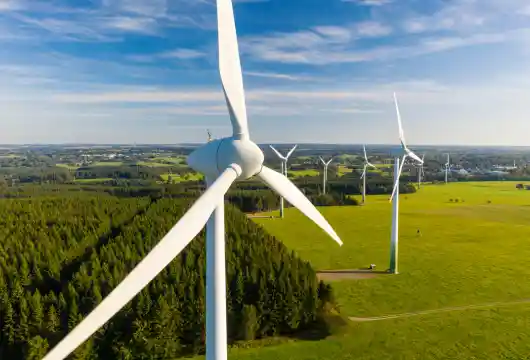 Japan's Journey Toward Carbon Neutrality