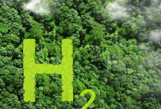 Policy on Integration of Green Hydrogen with Renewable Energy Sources