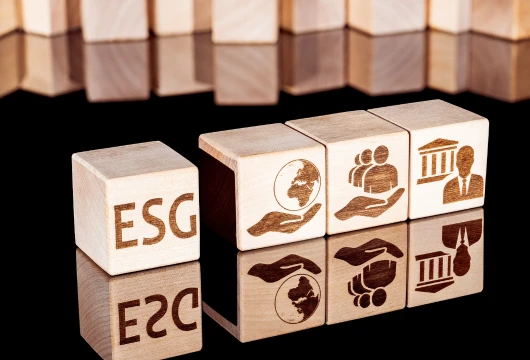Retail NBFCs Drive Sustainability with ESG Integration