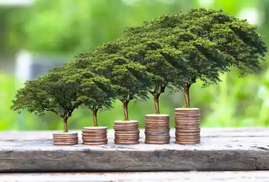 Focus on Renewable Energy Growth at Scale with  India's Largest Renewable Energy InvIT