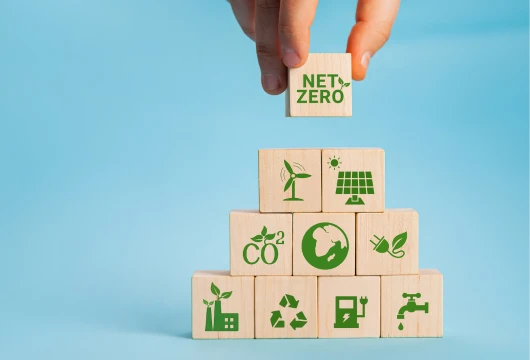 Net-Zero Technology: SAP's Game-Changer for Carbon Data