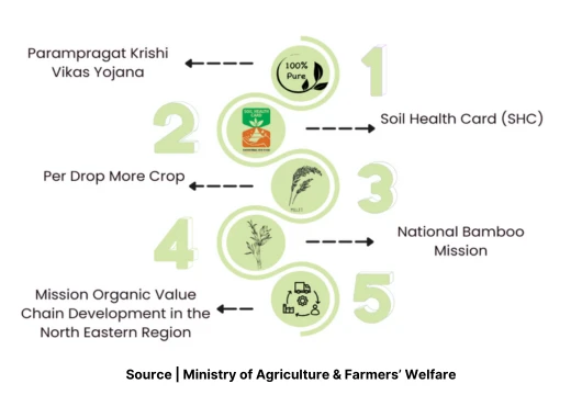 India’s Sustainable Farming Innovations Set Global Benchmark