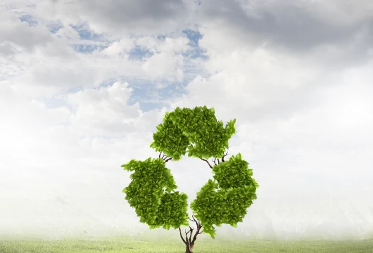India Strengthens C&D Waste Recycling Framework
