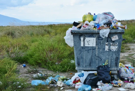 Himachal to Launch Sustainability-Focused Environmental Cell for Waste Management