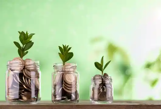 Citi introduces sustainable time deposit product in India