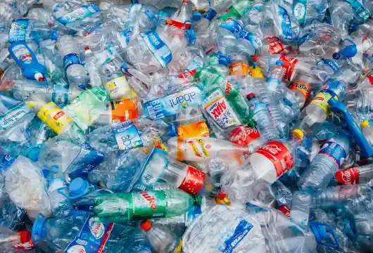 Mars, Amcor, and P&G join forces with Delterra to take a Plastics Pledge
