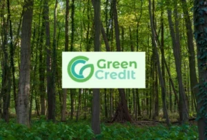 Environmental Vanguard_ MP's Green Credit Programme