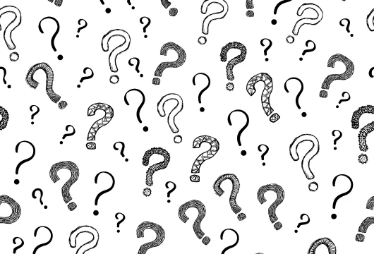 sustainability Questions