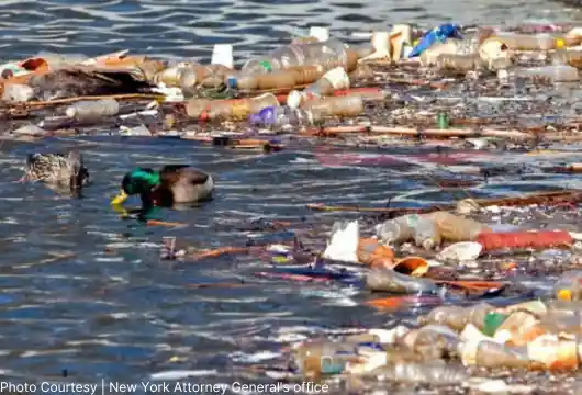 New York Launches Landmark Lawsuit Against PepsiCo Over Buffalo River Plastic Pollution Crisis