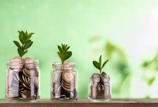 Citi Introduces Sustainable Deposits for Institutional Clients in India