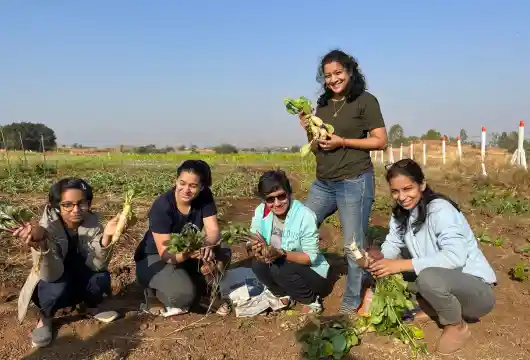 Purna Farm Cultivating Abundance in the Heart of Sustainability