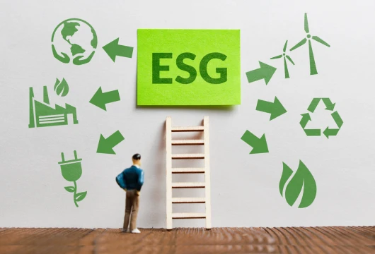 ESG