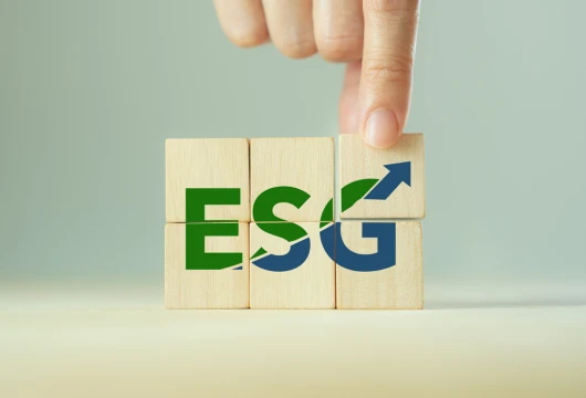 ESG