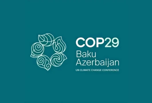 COP 29