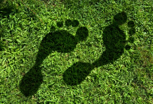 Carbon Footprint