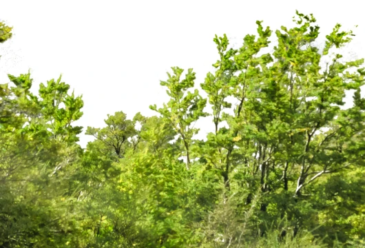 Environmentalists