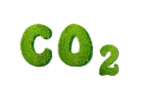Carbon Credits
