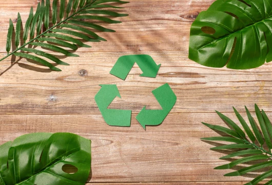 Sustainable Kitchen