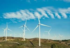 Green Energy Leadership
